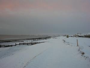 Snow covered beach at dawn